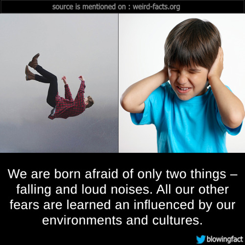 mindblowingfactz:We are born afraid of only two things –...