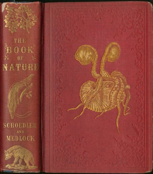 librarycompany:Friedrich Schoedler’s The Book of Nature...