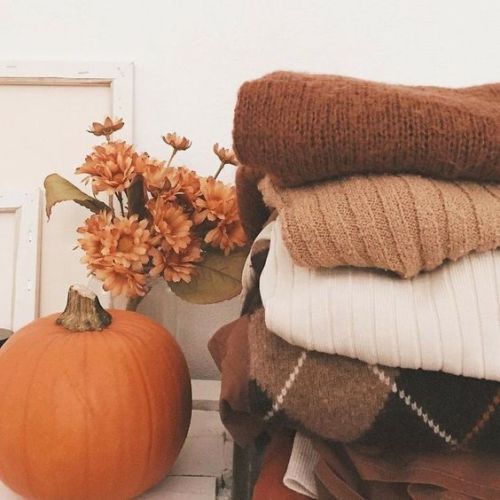 pastelog:warm autumn and pumpkin moodboard for a cozy...