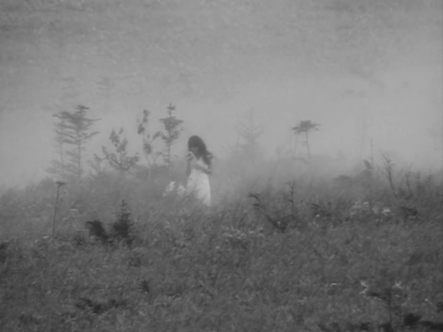 roserosette:Silence Has No Wings, 1966, Kazuo Kuroki