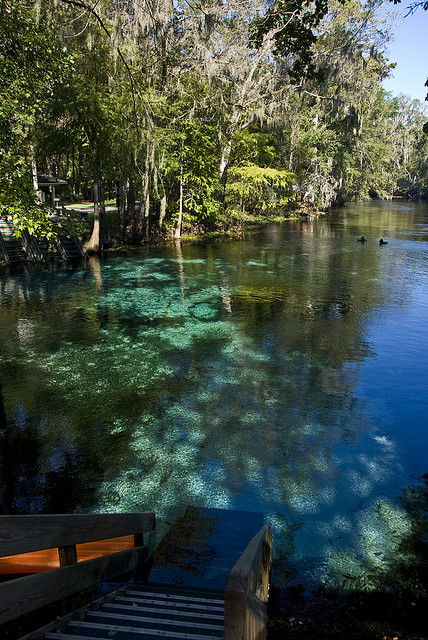 Ginnie Springs in Florida / USA (by Charlie... - It's a beautiful world