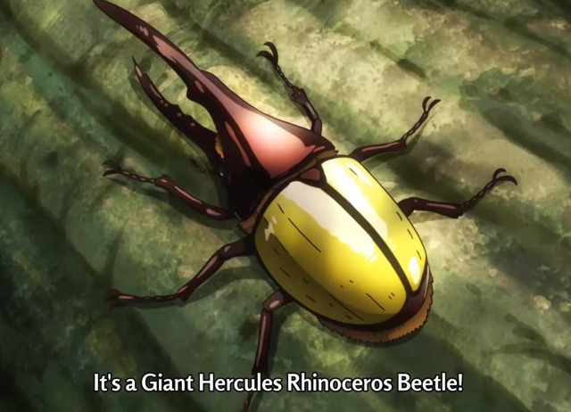 🦗🐞Anime Insects🦋🦟 — Today’s anime insect of the day is: A Giant...