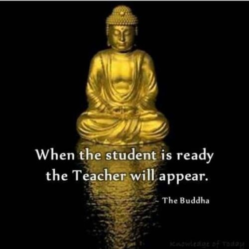 zengardenamaozn:Buddha quotes.