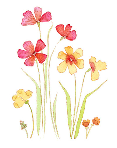 Watercolor Flowers Tumblr