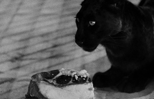filmgifs