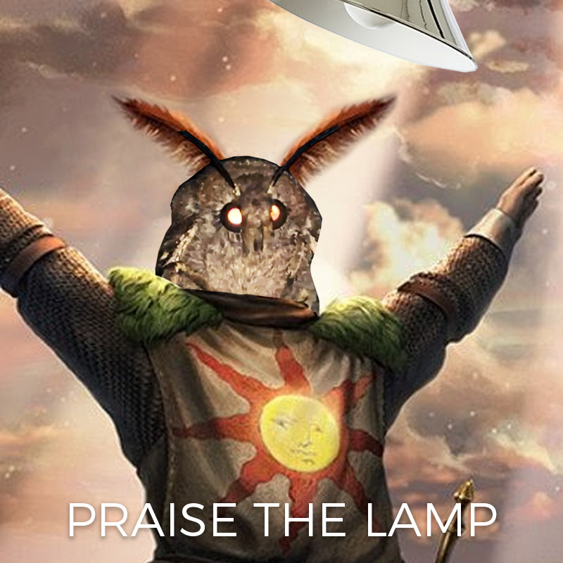 Praise The Sun Meme