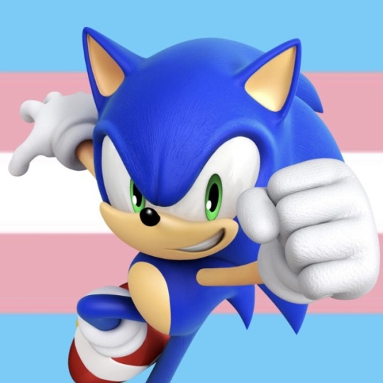 trans sonic on Tumblr