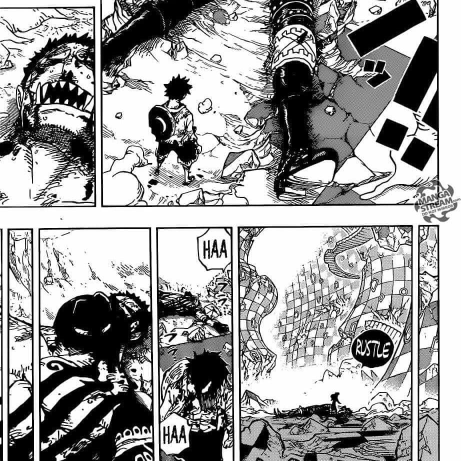 One Piece 896