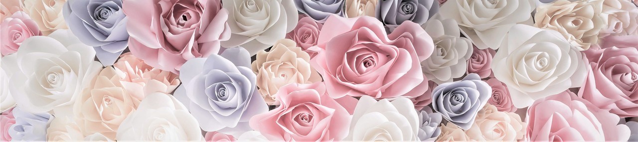 https://66.media.tumblr.com/23623681dcb1f9d6824498c4f67e9a02/tumblr_pqbs7rlnYD1xyun45o4_r1_1280.jpg
