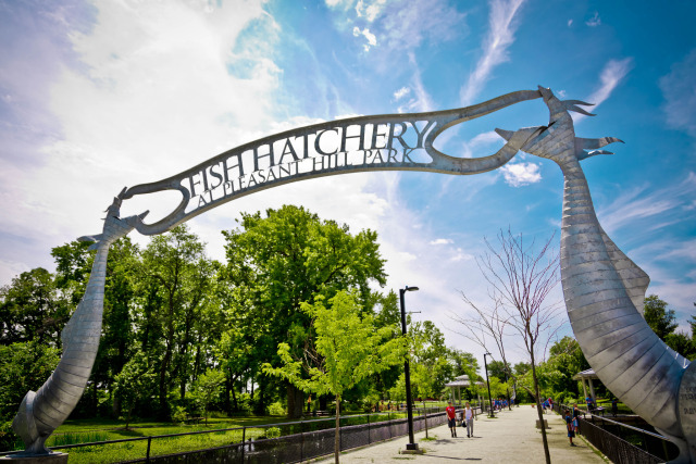 Philadelphia Parks And Recreation — History Of The Fish Hatchery At