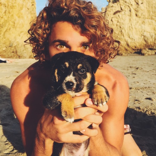 jayalvarrez:Oh no not another puppy jayalvarrez