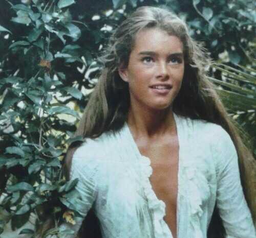 brooke sheilds the blue lagoon christopher atkins goals 1980 fabilost fabiloxt/