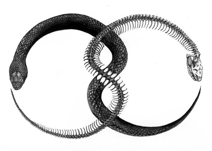 Nonsensical Ravings of a Lunatic Mind — Double Ouroboros