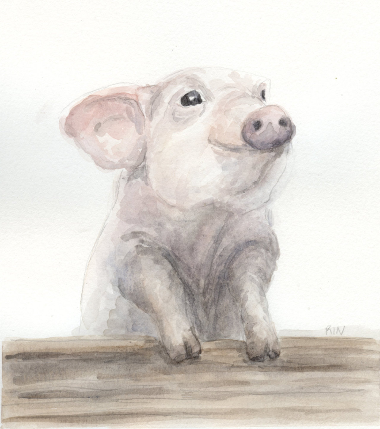 Watercolor Landcolor Skycolor — PIG PAINTING- farm art, cute, funny ...