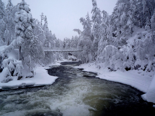 suomi-finland-perkele:Myllykoski, Pieni Karhunkierros Trail,...