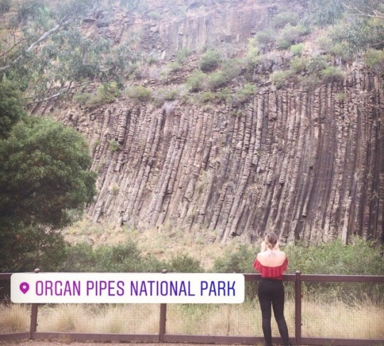 Organ Pipes Tumblr