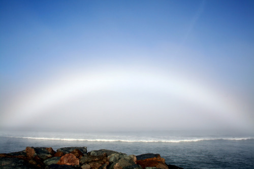 sixpenceee:A fog bow appears as a bow in fog rather than rain....