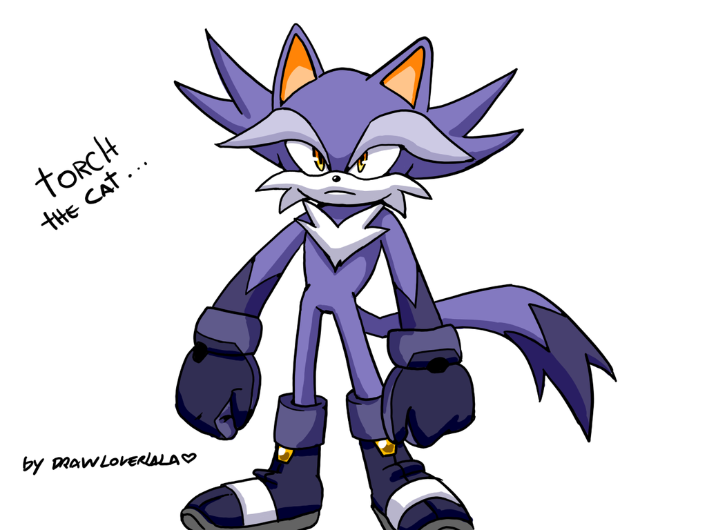 Drawloverlala. Sonic OC. Sonic Fan character Cat.