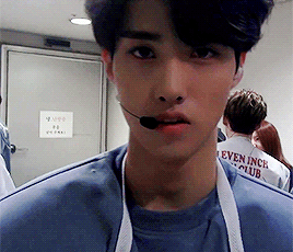tumblr_ofwnq4aIFV1vrvsx9o4_r1_400.gif