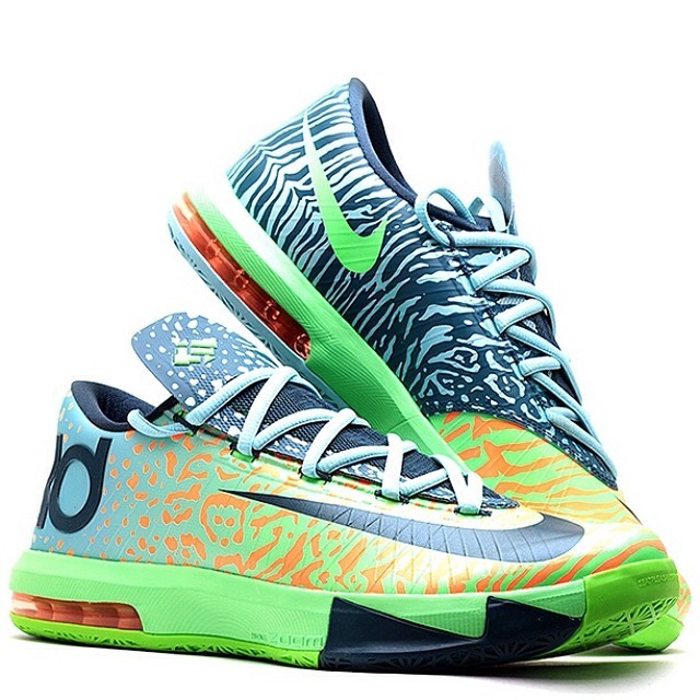 kd 5 liger