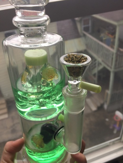 smoketonumb:bought some new glass today ..