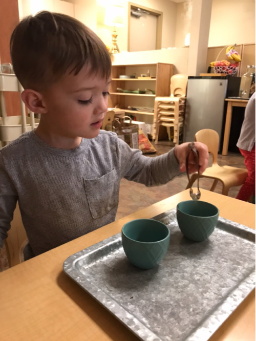 themontessoriacademyofarlington