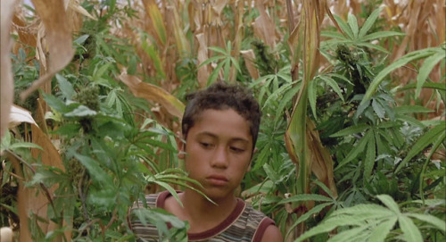 shesnake:Boy (2010) dir. Taika Waititi