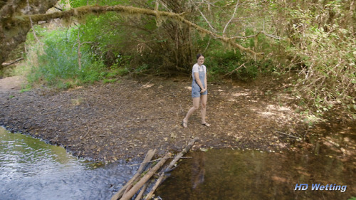 Walking along a small creek in a gorgeous forest, Sosha decides...