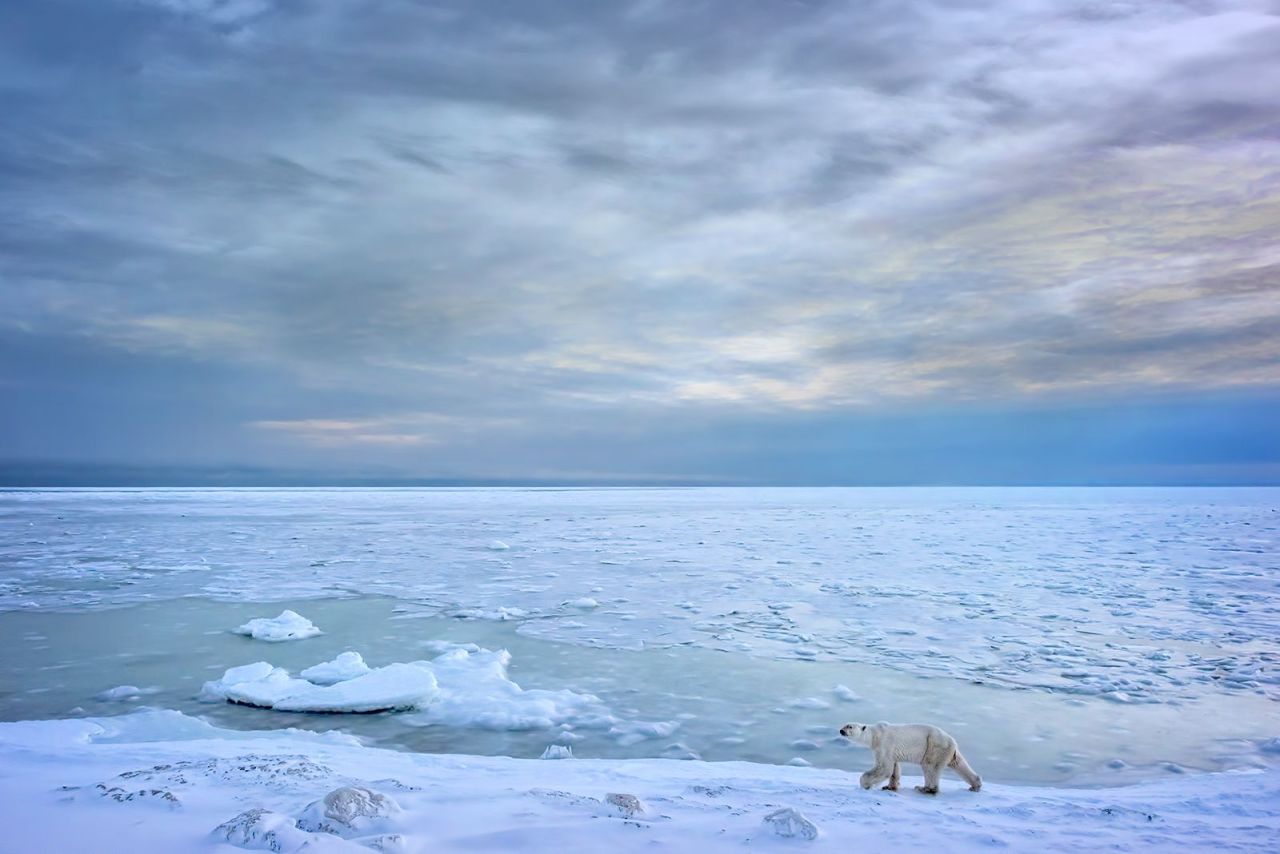 Top Shot: Into The Great Unknown Top Shot... -- Editors' Spotlight ...