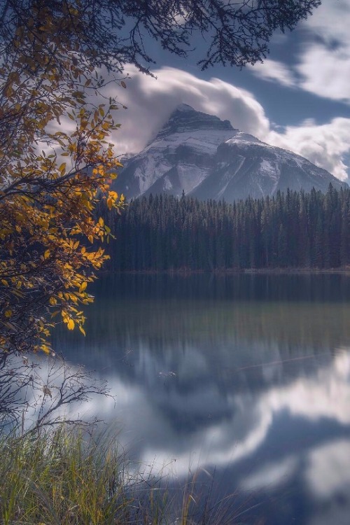 maureen2musings:Fall in Banff sentinelphotography