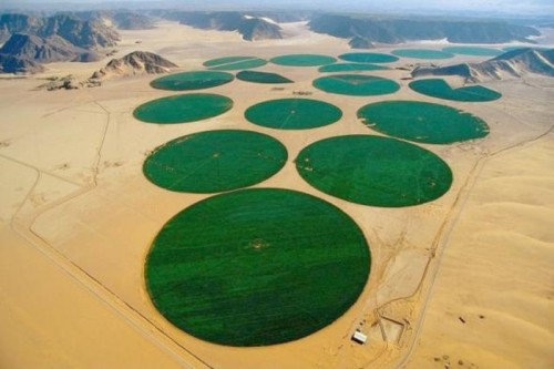 coolthingoftheday:The Wadi Rum valley, a 720 km squared...