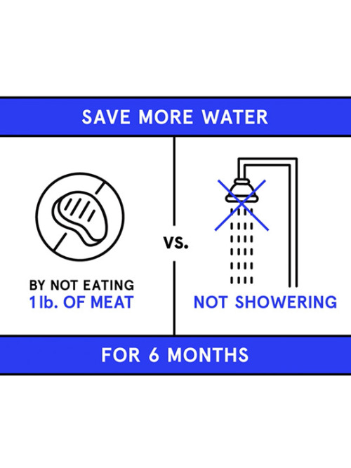 How to save water infographic