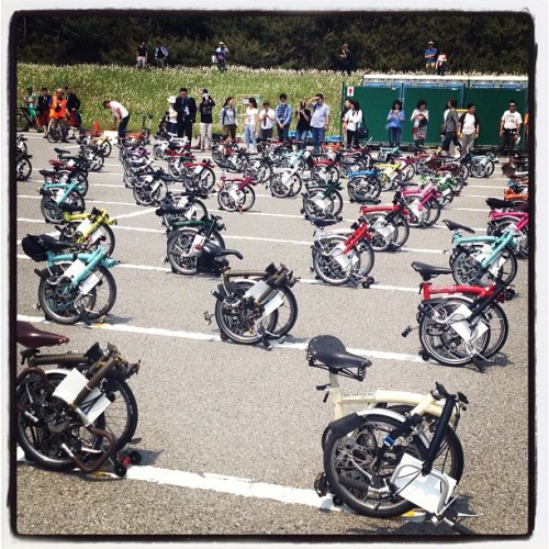 Brompton Japanese Championship