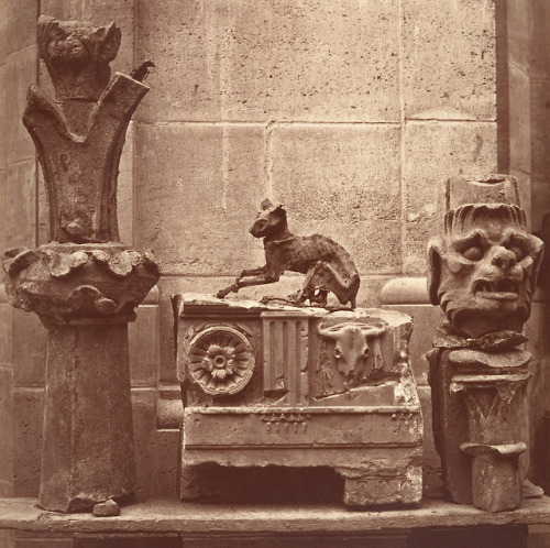 themacabrenbold:
“  The Mummified #Cat; found in the excavations of Saint-Germain-en-Laye
c.1862 Photo by Charles Marvilles, Met Museum
”