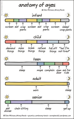 Anatomy of Ages