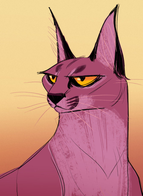 cat cats caracal drawing daily cat drawings
