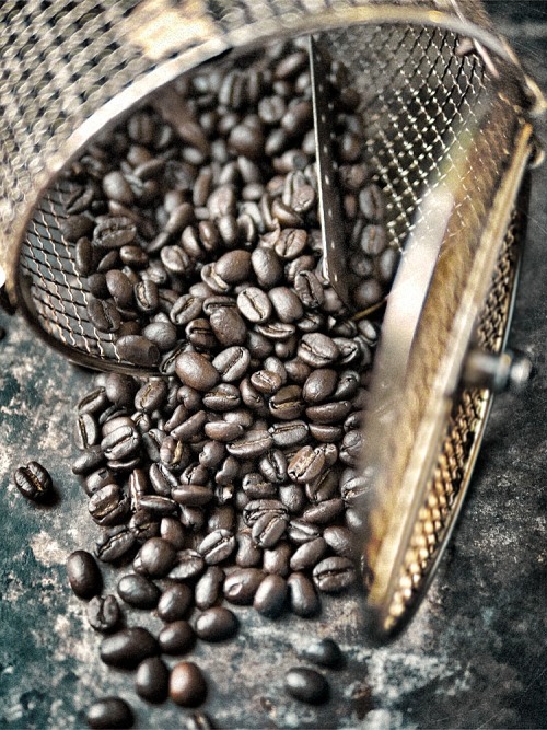 fresh roast coffee beans Tumblr