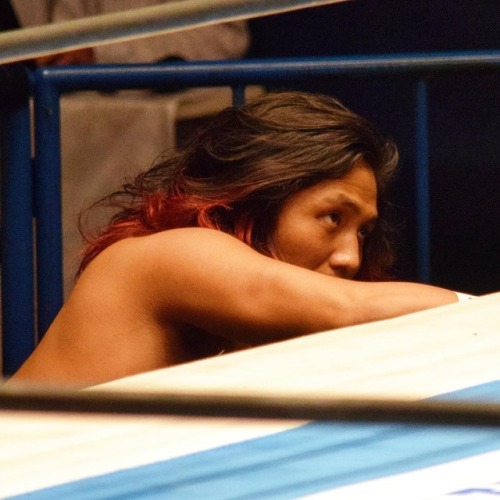 stardustgenius1:Hiromu Takahashi 