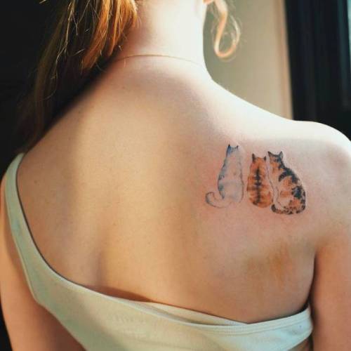 By Sol Tattoo, done in Seoul. http://ttoo.co/p/25608 small;pet;feline;animal;facebook;shoulder blade;twitter;soltattoo;cat;illustrative