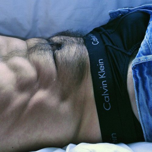 Muscle Bear Hairy