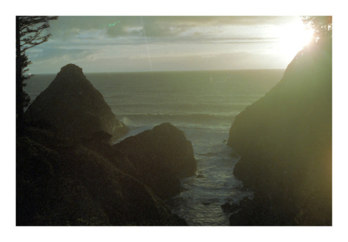 padehler:Florence, Oregonshot with an Olympus OM-1 / CineStill...