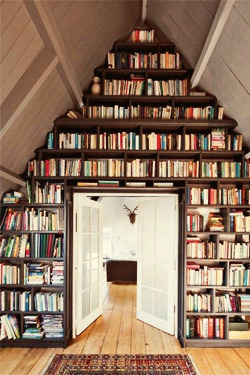 somethingveryodd: I wish my library would look like: 1/??