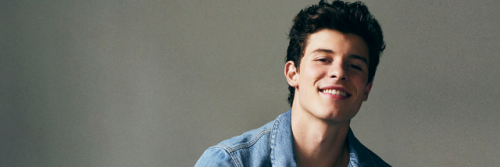 @shawn icons.