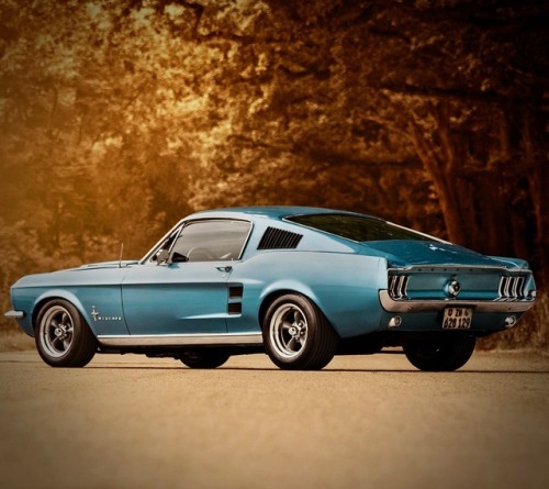 utwo:1967 Ford Mustang Fastback© gerling racing