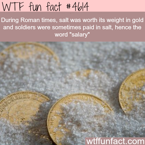 Facts About Salt Wtf Fun Facts