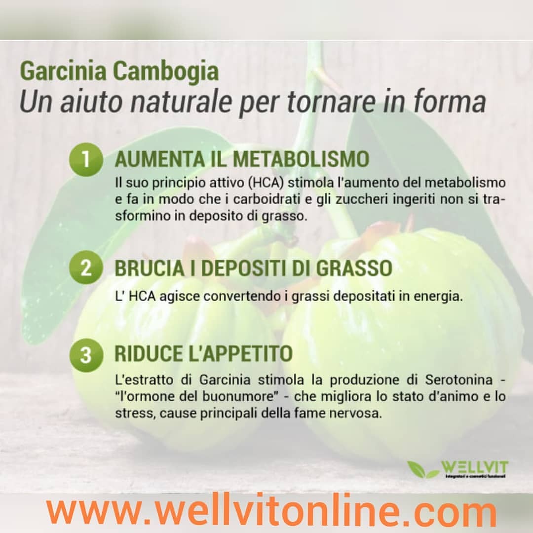 prova l estratto di garcinia cambogia prova l estratto di garcinia cambogia
