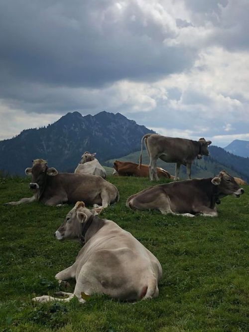 We went on a hike near I believe Brunnstein or something like...