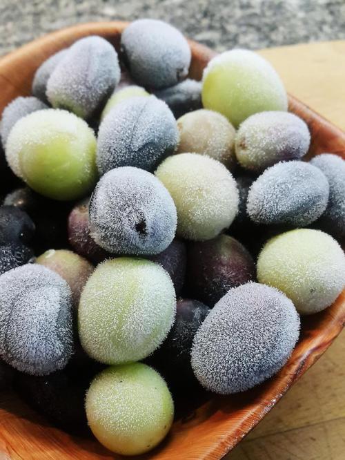 food-porn-diary:I just got these grapes from the freezer