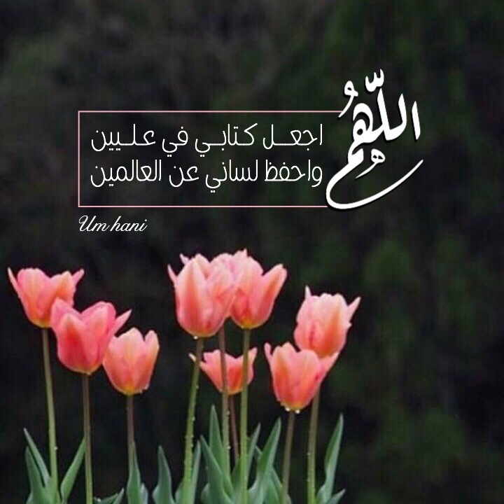 الدعاء هو العبادة ..(3) - صفحة 76 Tumblr_peg2irRs8N1segn7h_1280