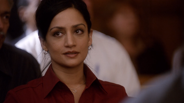 archie panjabi as kalinda sharma in season one of... - emmy nominated ...